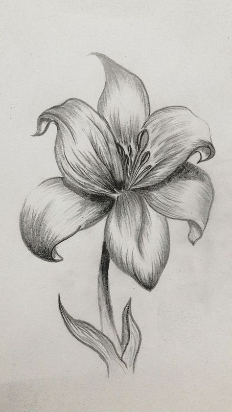 Cute Drawings In Pencil, Shading Flowers Drawing, Shaded Flower Drawing, Sketching Ideas Pencil Nature, Nature Related Drawings, Flower Drawing Shading, Sketches With Shading, Nature Sketch Ideas, Flower Sketches Pencil Shading