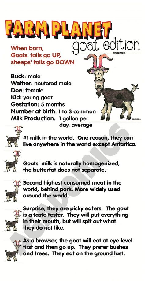 For ordering information on our banners: agademics.com @AGademics Goat Educational Poster, Goat Information, 4h Goats, Teach Ag, Livestock Judging, Farm Facts, Show Goats, Goat Care, Veterinary Science