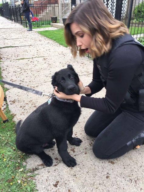 Erin Lindsay, Sophia Bush, Chicago Med, Chicago Pd, Hair Cuts