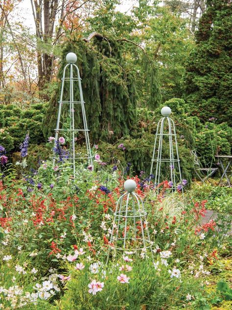 Coventry Obelisk | Gardener's Supply Garden Cloches, Garden Trellis Designs, Landscape Garden Ideas, Morning Glory Vine, Garden Cloche, Obelisk Trellis, Garden Archway, Vine Trellis, Arch Trellis