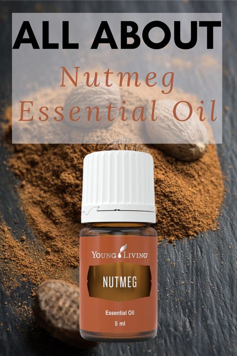 Nutmeg essential oil has a spicy aroma with a touch of sweetness. Nutmeg is great to use during the holidays because it pairs well with other festive oils. Learn more about nutmeg and how I use it. #NutmegEssentialOil #essentialoiluses #essentialoilbenefits | EOGuys.com Nutmeg Essential Oil Blends, Nutmeg Essential Oil Benefits, Nutmeg Oil Benefits, Nutmeg Essential Oil Young Living, Essential Oils For Inflammation, Nutmeg Oil, Nutmeg Essential Oil, Natural Pain Relievers, Ayurvedic Remedies