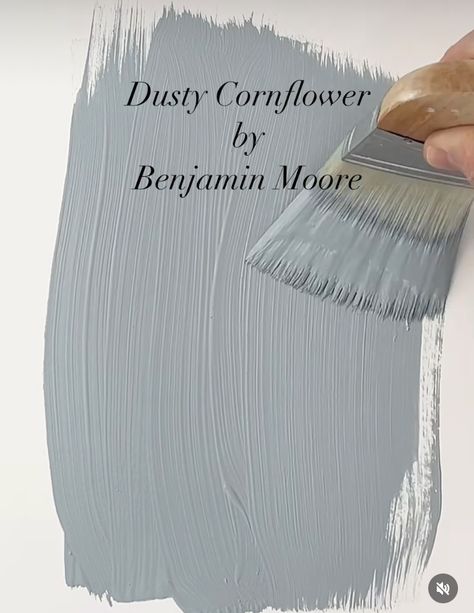 Gray Benko Paint Colors, Dusty Cornflower Paint, Muddy Blue Paint Colors, Muddy York Benjamin Moore, Bm Dusty Cornflower, Nantucket Fog Benjamin Moore, Benjamin Moore Nursery Colors, Dusty Cornflower Benjamin Moore, Dusty Blue Paint Color