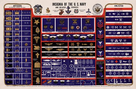 Military | US Navy Insignias Navy Enlisted Ranks, Navy Insignia, Navy Ranks, Military Ranks, Navy Life, Navy Gifts, Navy Chief, Navy Wife, Navy Mom