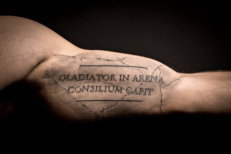 Spqr Tattoo, Gladiator Tattoo, Tattoo Quote, Greek Tattoos, Motivational Wallpaper, Google Co, Greek Gods, Sleeve Tattoos, Tattoo Quotes