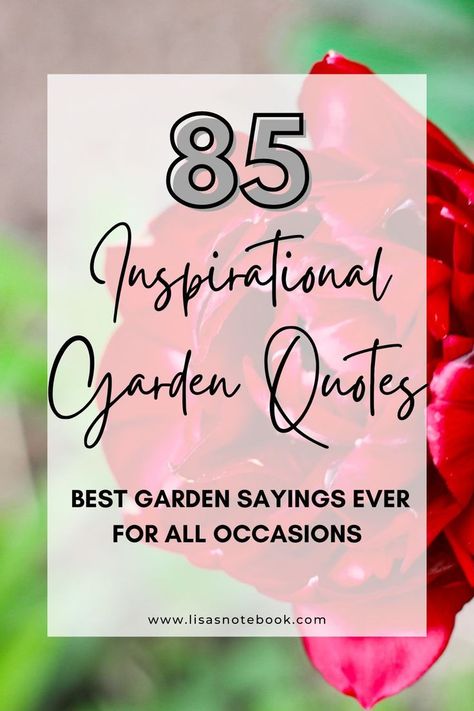 Looking for perfect inspirational garden quotes and cute garden sayings? Here are 85 garden sayings and quotes for plant lovers for all occasions - including short garden quotes, funny garden quotes, garden proverbs and more! Spring Gardening Memes Funny, Garden Quotes Inspirational Short, Garden Sayings And Quotes, Garden Quotes Funny, Quotes About Gardening, Gardening Sayings, Gardener Quotes, Gardening Quotes Inspirational, Gardening Jokes