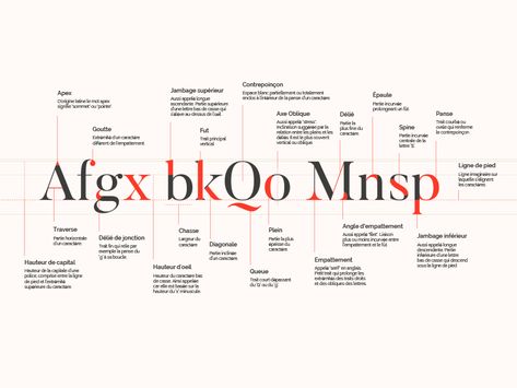 Typography Construction & Glossary Glossary Page Design, Glossary Design Layout, Glossary Design, Editorial Design Layout, Design Layouts, Infographic Design, Page Design, Editorial Design, Design Inspo