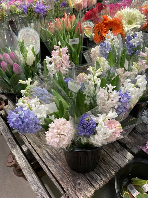 Hyacinth Bouquet Aesthetic, Hyacinth Flower Arrangement, Hyacinth Flower Bouquets, Spring Flowers Bouquet, Hyacinth Bouquet, Hyacinth Flower, Beautiful Bouquet Of Flowers, Beautiful Bouquet, Camera Roll