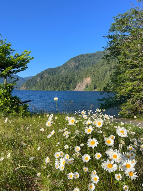 washington | olympic national park | lake crescent Olympic Park Washington, Olympic National Park In April, Olympic National Park Beaches, Lake Crescent Washington, Lake Sammamish Washington, Olympic National Park, Us Travel, Bucket List, Washington