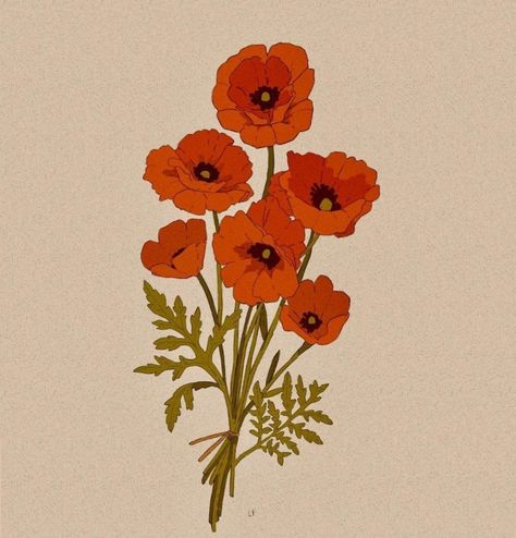 Illustration Botanique Vintage, Poppy Bouquet, Poppy Drawing, Illustration Botanique, 캐릭터 드로잉, Illustration Vintage, Flower Illustration, Poppy Flower, Red Poppies