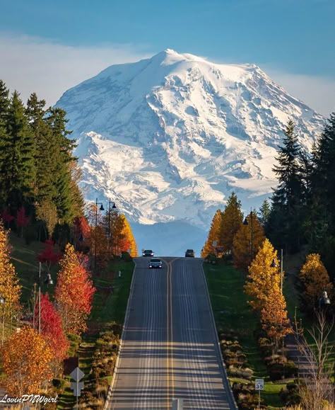 October view of Mt. Rainier in Washington State.  Photo: Aimee Lou KOMO News Pnw Aesthetic, Mount Rainier National Park, Mt Rainier, Rainier National Park, Mountain Life, Lets Go, Pretty Places, Travel Aesthetic, Washington State