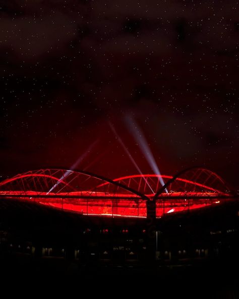 Benfica Wallpaper, Iphone Wallpaper Themes, Beautiful One, Arsenal, Sports Team, Love Of My Life, Iphone Wallpaper, Instagram, Arsenal Fc