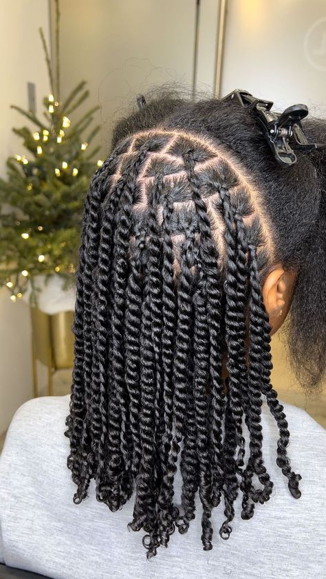 Twistout On 4c Hair, 4c Hairstyles Braids, Styles For Twists, Braided Protective Styles Natural Hair, Natural Protective Hairstyles No Weave, Natural Hairstyles For Black Women Protective, Hair Braids Natural Hair, Medium Twists, Natural Twist Hairstyles