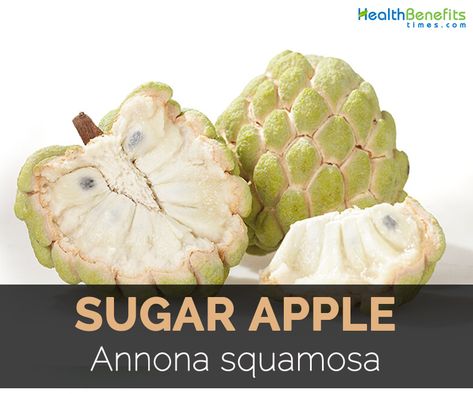 Sugar Apple Facts, Health Benefits and Nutritional Value Health Benefits Of Apples, Benefits Of Apples, Apple Facts, Apple Benefits, Fruit Health, Fruit Health Benefits, High Carb Foods, Sugar Apples, Fruit Benefits