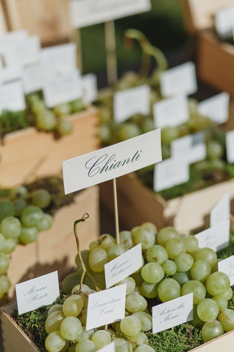 Grape Vine Wedding Decor, Vineyard Picnic, Berry Decor, Vine Decor, Brides Mate, Outdoor Greenery, Wedding License, People Getting Married, White Italian