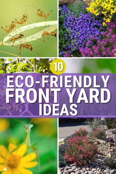 As a homeowner, you want your yard to look great, but you also want to make sure that you are environmentally responsible. So check out these eco-friendly front yard ideas to help you achieve both goals! via @mystayathome Yard Plant Ideas, Beautiful Front Yard Landscaping, Curb Appeal Ideas, Front Yard Ideas, Landscape Ideas Front Yard Curb Appeal, Front Porch Plants, Front Yard Plants, Evergreen Bush, Porch Remodel