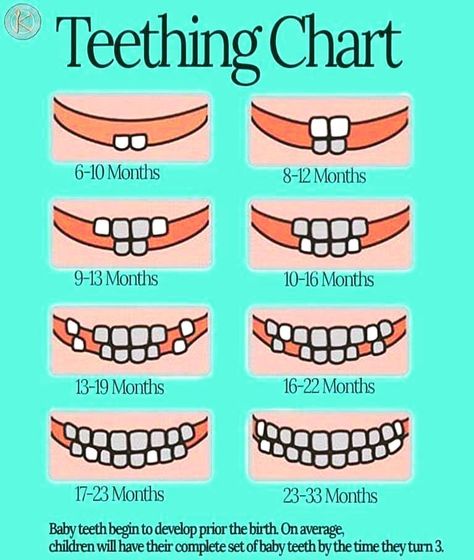 Baby Teeth Chart, Teething Chart, Note Tips, Baby Routine, Baby Information, Newborn Baby Tips, Newborn Mom, Baby Life Hacks, Baby Facts