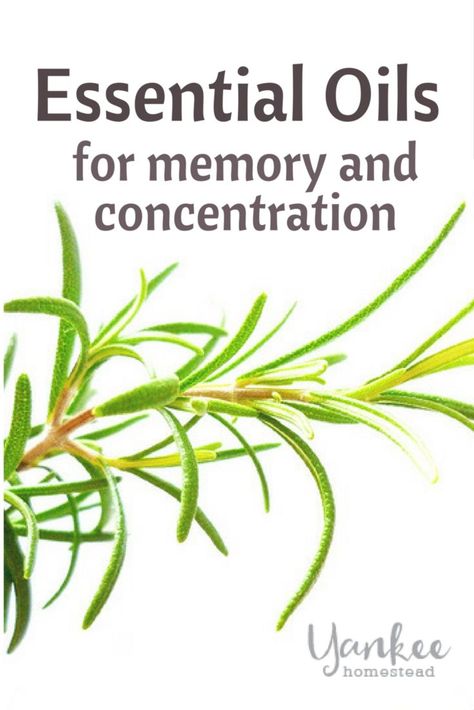 Essential Oils For Memory, Essential Oil Remedy, Essential Oils Herbs, Healing Oils, Essential Oil Mixes, Essential Oil Benefits, Essential Oil Diffuser Recipes, Yl Essential Oils, Essential Oils Rosemary