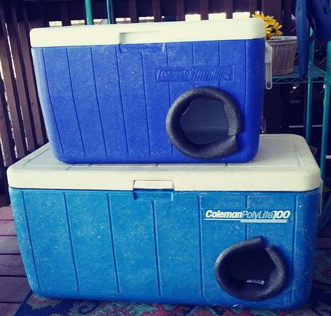 Cat Shelters For Winter, Beach Shelter, Outdoor Cat Shelter, Feral Cat Shelter, Feral Cat House, Diy Cooler, Stray Animals, Cat House Diy, Feral Cat