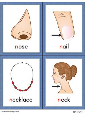 Letter N Words and Pictures Printable Cards: Nose, Nail, Necklace, Neck (Color) Worksheet.The Letter N Words and Pictures Printable Cards can be used for flashcards, various games, and help your student associate unfamiliar words with a picture. Colorful picture cards for the words: nose, nail, and necklace, and neck. Alphabet Word Wall Cards, Preschool Alphabet Printables, Alphabet Word Wall, Nail Necklace, Sound Activities, Color Worksheet, Letter Sound Activities, Letter Flashcards, Vocabulary Flash Cards