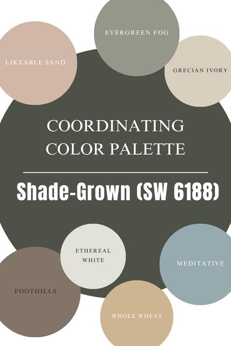 Sherwin Williams Shade Grown Paint Color Review | Coordinating color palette Colonial Paint Colors Interior Sherwin Williams, Willowleaf Sherwin, Shade Grown Paint, Sw Evergreen Fog Color Palette, Sw Adaptive Shade, Meditative Sherwin Williams, Sherwin Williams Eventide, Sw Shade Grown, Sherwin Williams Shade Grown