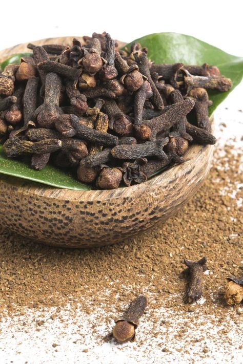 Clove Plant, Dried Cloves, Cloves Benefits, Chai Recipe, Preserved Lemons, Clove Bud, Clove Oil, Natural Antibiotics, High Fat Diet