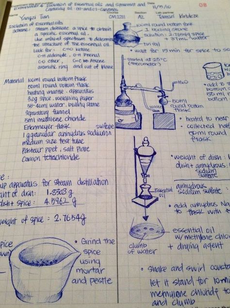 Handwriting Examples, Pretty Handwriting, Science Notebook, Chemistry Lessons, Chemistry Notes, Chemistry Labs, Nice Handwriting, Pretty Notes, Academic Motivation