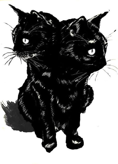 2 Headed Cat Drawing, Grunge Cat Drawing, Two Headed Cat Drawing, 3 Headed Cat Tattoo, 2 Headed Cat Tattoo, Double Headed Cat Tattoo, Something With Two Heads, 3 Headed Dog Drawing, Two Headed Cat Tattoo