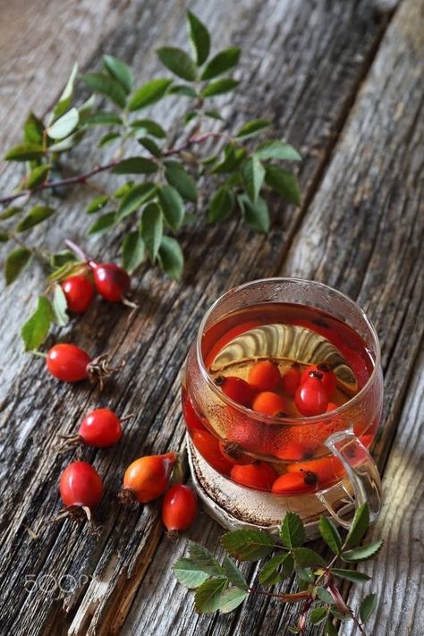 Rosehip Tea, Rose Hips, Tea Break, Coffee Photography, Wild Food, Tea Art, Chocolate Cherry, Coffee And Books, Hot Tea