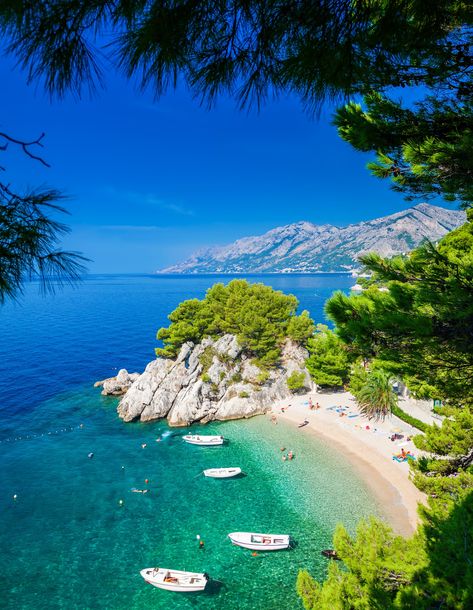 Travel inspiration for summer 2024 - Lonely Planet Croatia Beach, Balkans Travel, Royal Caribbean International, Tree Wall Murals, Croatia Holiday, Visit Croatia, Split Croatia, Royal Caribbean Cruise, Croatia Travel