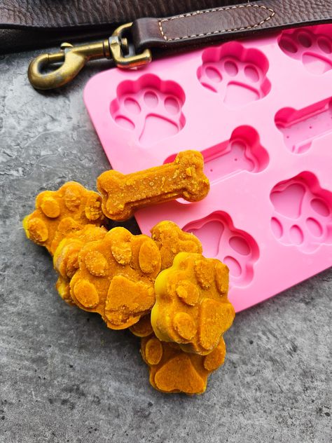 Homemade Pumpkin Dog Treats - Women of Today Dog Treats Using Silicone Mold, Homemade Pumpkin Dog Treats, Making Dog Treats, Pumpkin Dog Treat, Easy Homemade Dog Treats, Dog Treat Recipe, Dog Treats Homemade Easy, International Dog Day, Pumpkin Dog Treats