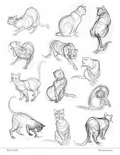 Cat Anatomy Drawing Reference, Feline Anatomy Drawing, Anthro Cat Anatomy, Big Cat Anatomy, Big Cat Anatomy Drawing, Character Design Tutorial, Cat Drawing Tutorial, Cat Eyes, Cats Art Drawing