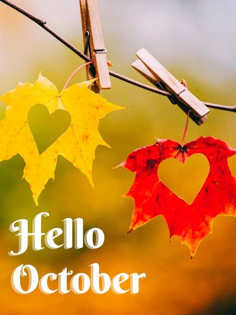 Happy October Wallpaper, 1st Day Of October, Hello October Images, October Images, New Month Quotes, October Wallpaper, Seasons Months, Hello October, Happy October