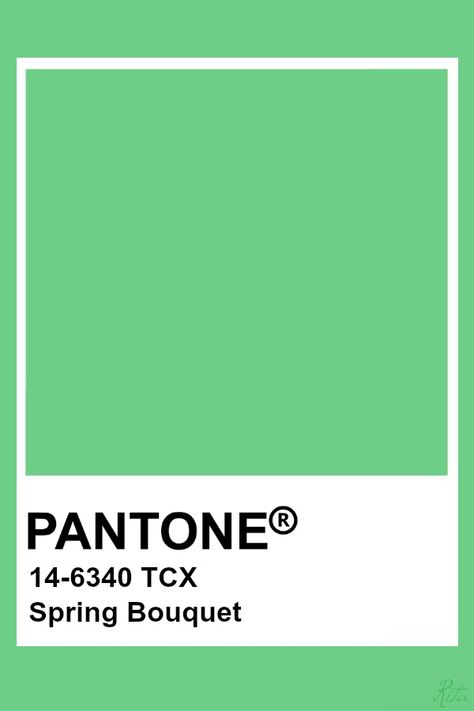 Pantone Spring Bouquet Tcx Pantone, Green Color Names, Spring Pantone, Pantone Tcx, Pantone Green, Pantone Color Chart, Pantone Swatches, Green Png, Pantone Colour Palettes