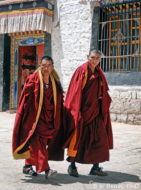 Tibet Culture, Lhasa Tibet, Tibetan Mountains, Tibet Monastery, Tibetan Monk, Tibet Travel, Tibetan Monastery, Buddhist Monk, Tibetan Buddhist