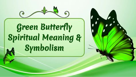 Green Butterfly Spiritual Meaning Butterfly Spiritual Meaning, Butterfly Spiritual, Light Green Butterfly, Butterfly Meaning, S Meaning, Green Butterflies, Divine Timing, Good Karma, Spiritual Messages