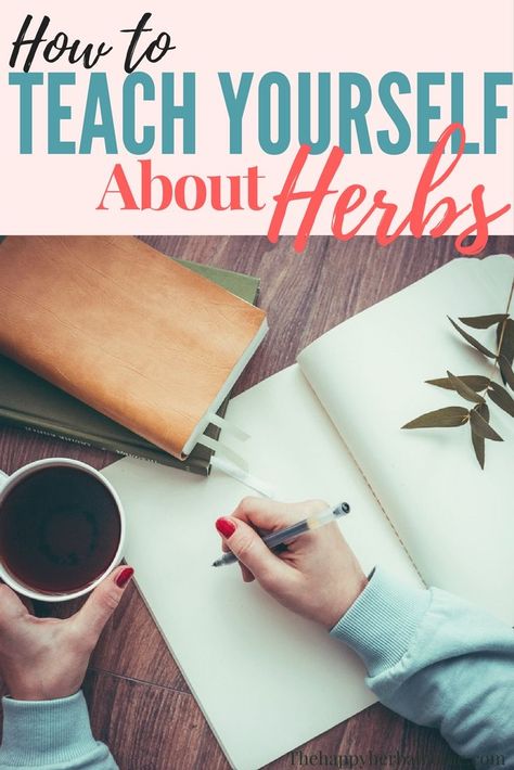 How To Be A Herbalist, Herbalism Books, Beginner Herbalist, Herbal Pharmacy, Herbal Living, Herb Magic, Herbal Academy, Herbal Education, Magia Das Ervas