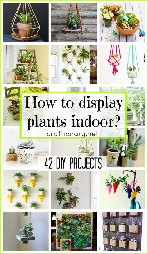 These Creative Indoor Plant Displays are a guide to help bring freshness inside your home Indoor Plant Display, Plant Display Ideas, Hanging Plants Diy, Vegetable Garden Tips, Diy Bird Bath, Support Pour Plante, Hanging Plants Indoor, Plant Display, Inside Plants