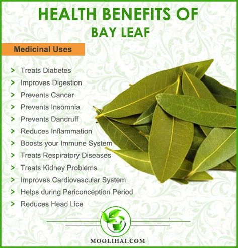 Bay Leaves Benefits, Bay Leaf Benefits, Bay Leaf Tea, Preserving Herbs, Ayurvedic Healing, Respiratory Diseases, Bay Leaf, Cardiovascular System, Bay Leaves