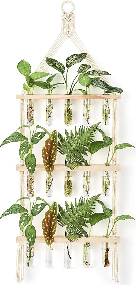 Hanging Glass Planters, Wall Plant Holder, Vase Plant, Plant Terrarium, Hanging Plant Wall, Hanging Plants Indoor, Hydroponic Plants, Office Room Decor, Macrame Hanger