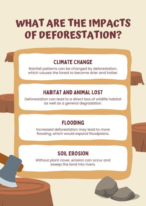 Advantages, Causes, and Disadvantages of Deforestation | Recommendations for Development - Advantageslist Deforestation Project, Deforestation Art, Deforestation Facts, Deforestation Poster, Agriculture Quotes, Amazon Deforestation, Science Journal, Plant Covers, Environmental Education