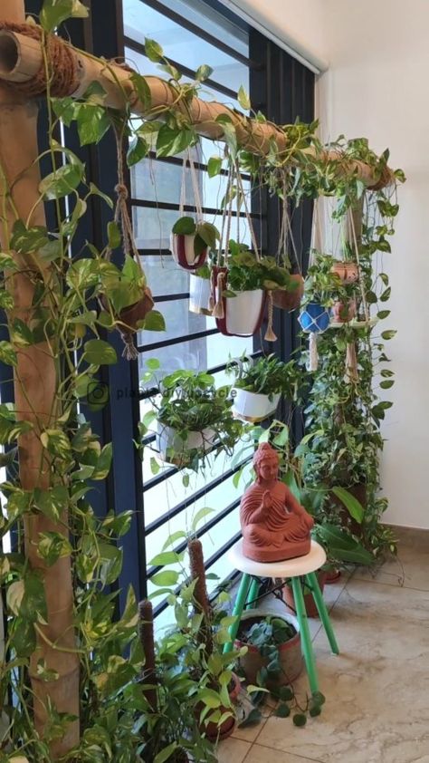 Diy Hanging Propagation Station, Propagation Wall Station In Cafe, Diy Plant Propagation Station, Diy Propagation Station, Diy Propagation Station Hanging, Diy Propagation, How To Make A Propagation Station, Wire Propagation Station, Hanging Propagation Station