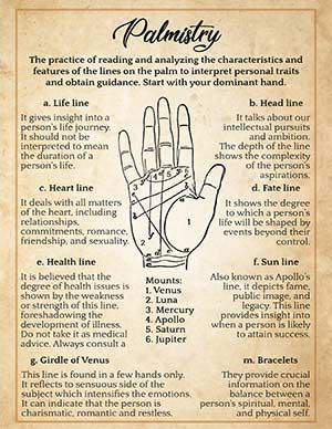 When you come across the term ‘palmistry,’ you picture a scenario where a palm reader holds your outstretched hand in a semi-lit room, analyzing the lines on your palm. And you are not far from the truth. But did you know that you can read the lines of your hand yourself? Reading the lines of the palm, which are creases and folds, can provide lots of information about a person, and are therefore used as a divination technique. So, by definition, palmistry is the practice of reading an... Book Of Shadows Palmistry, How To Read Palms Palmistry, How To Read A Palm, Palmistry Reading For Beginners, Palm Reading Guide, Read Palm Lines, Palmistry Drawing, Reading Palms Hands, Palm Reading Life Line