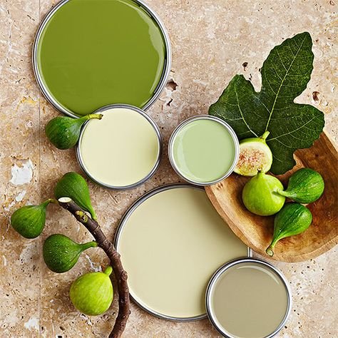 For hues taken straight from nature, try these green paint colors: http://www.bhg.com/decorating/color/green-paint-colors/?socsrc=bhgpin031414earthygreen&page=4 Mint Green Paints, Green Wall Color, Pintura Exterior, Green Paint Colors, Exterior Paint Colors For House, Storing Paint, Interior Paint Colors, Living Room Green, House Paint Exterior