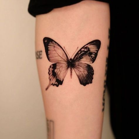 Womens Skull Tattoo Sleeve, Intersex Butterfly, Butterfly Throat Tattoos Women, Butterfly Tattoo Shaded, Butterfly With Eyes Tattoo, Surrealism Butterfly, Butterfly Cover Up Tattoo, Butterfly Tattoo Placement Ideas, Three Butterflies Tattoo