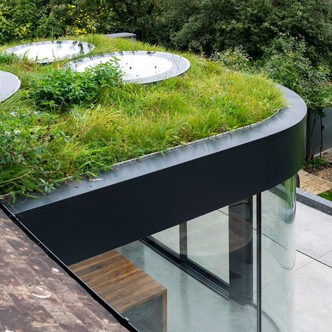 Don't Move, Improve! 2019 shortlist shows best London house extensions Curved Extension, Small House Extensions, Sedum Roof, Riverside Garden, Green Roof System, Victorian Renovation, Green Roofs, Georgian Townhouse, Earth Sheltered