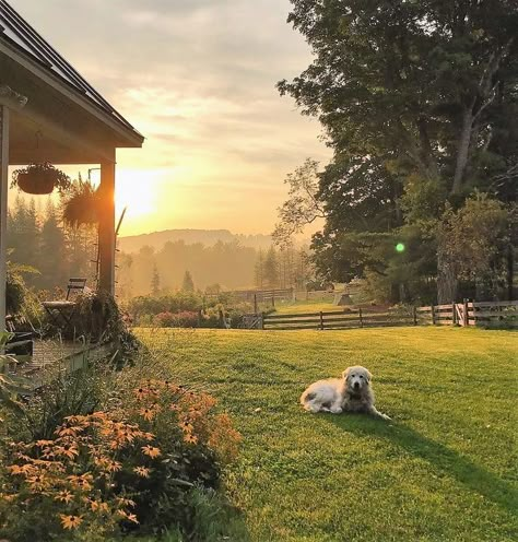 Future Farms, Casa Country, Aesthetic Pink, Future Life, Nature Aesthetic, Pretty Places, Country Life, Farm Life, My Dream Home