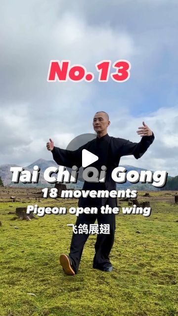 Medical Qigong, Tai Chi For Beginners, Chi Gong, Tai Chi Qigong, Tai Chi Chuan, Qi Gong, The Wings, Chinese Medicine, Tai Chi