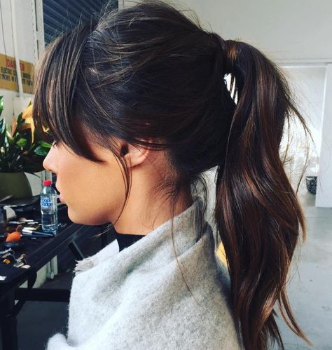 High Brunette Messy Ponytail Brunette Bangs, Coffee Brown Hair, Short Brunette Hair, High Ponytail Hairstyles, Long Brunette Hair, Cute Ponytails, Messy Ponytail, Hair Color Techniques, High Ponytail