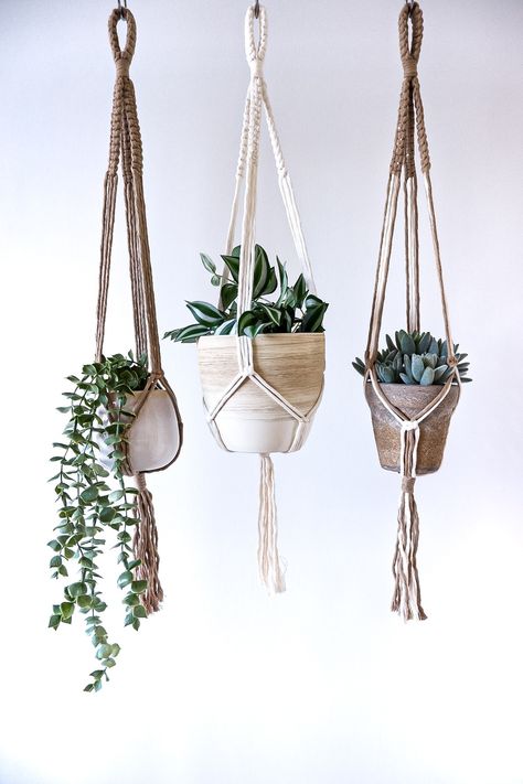 The Minimal Collection adds modern design and add texture to any indoor room without compromising on space. Indoor Oasis, Macrame Plant Hanger Patterns, Boho Scandinavian, Sustainable Decor, Trailing Plants, Macrame Wall Art, Macrame Hanging, Plant Hangers, Macrame Plant Hangers