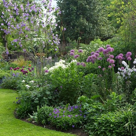 Scottish Garden Ideas, British Garden Design, Scottish Gardens, Scotland Garden, Colonial Landscaping, Scottish Garden, Flower Landscaping, Flower Hedge, Scottish Flowers